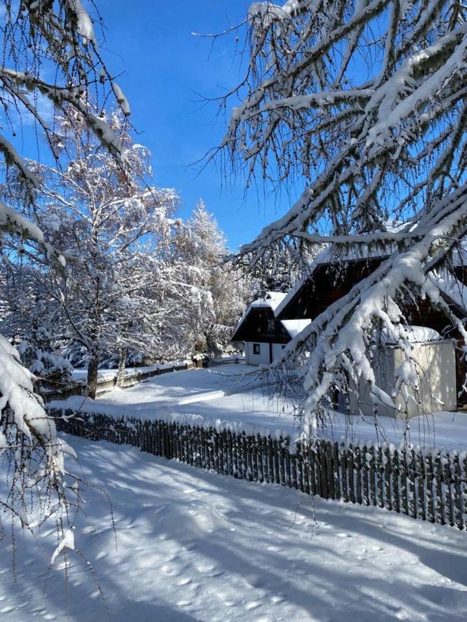 Ferienhaus Waldtraum Sankt Veit an der Glan Exterior foto