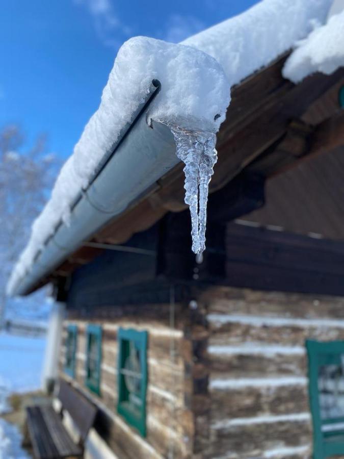 Ferienhaus Waldtraum Sankt Veit an der Glan Exterior foto