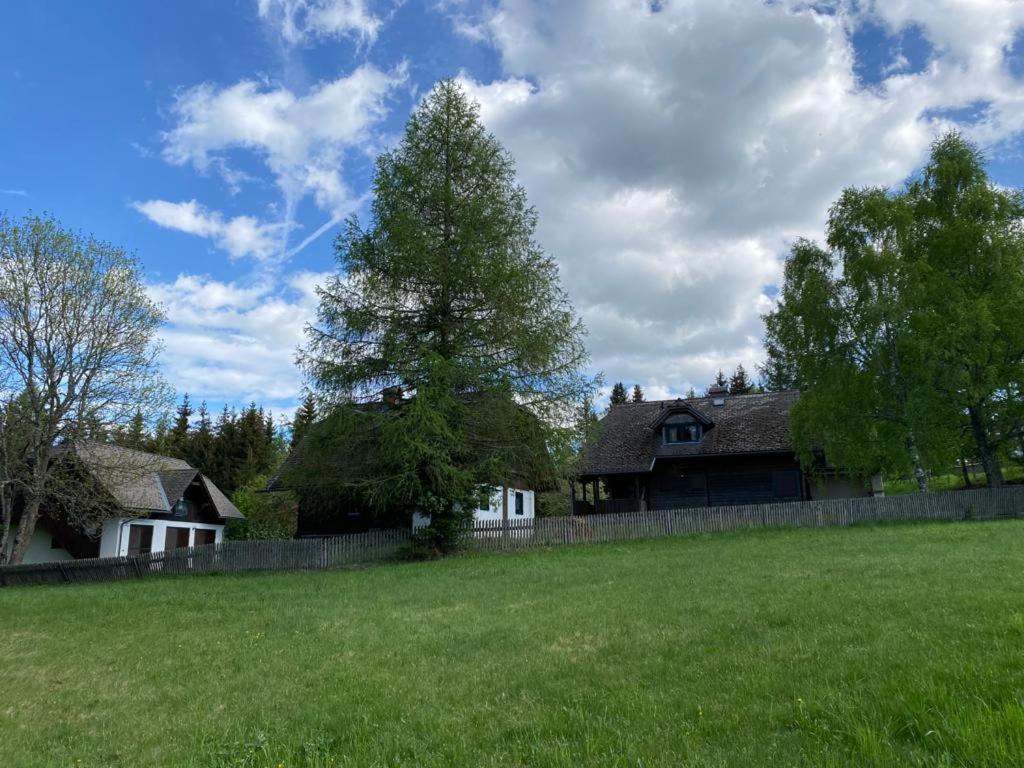 Ferienhaus Waldtraum Sankt Veit an der Glan Exterior foto